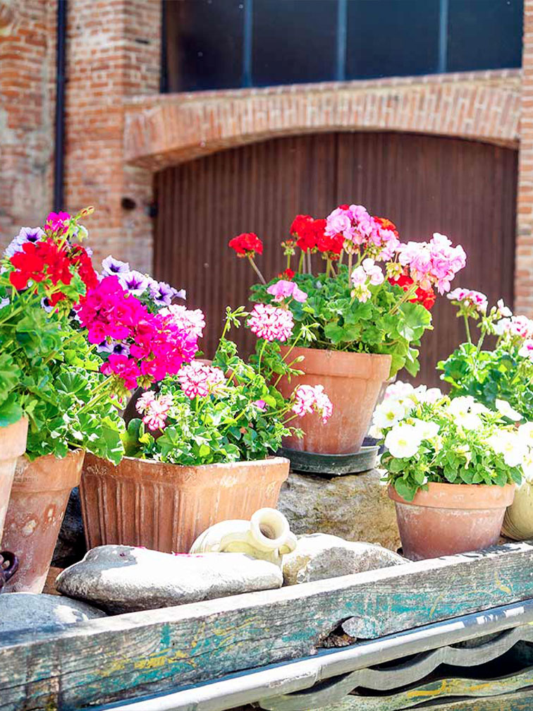 Lasciati ispirare dagli interni, dagli scorci delle colline e dalla quiete che solo la natura può regalare.